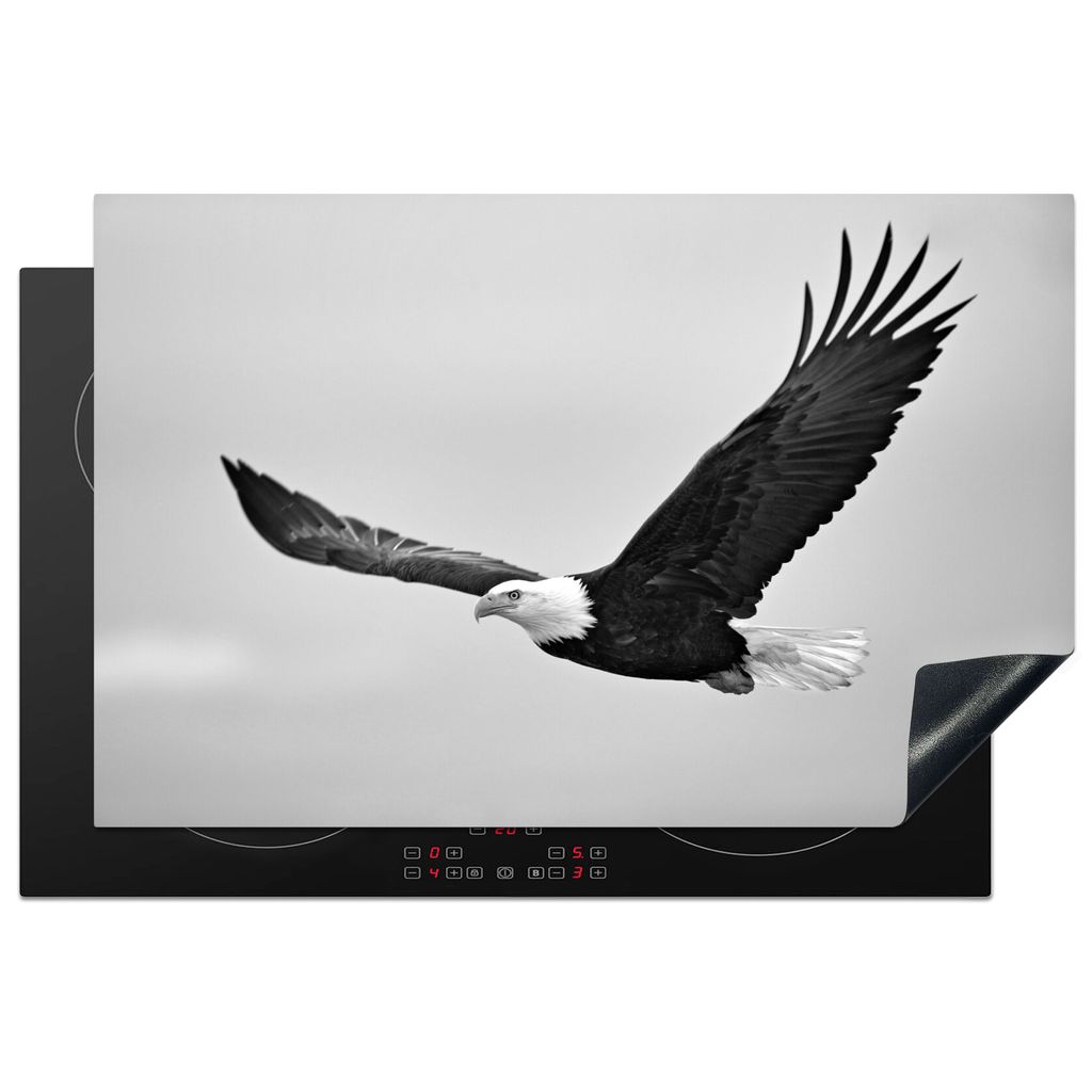 KitchenYeah Herdabdeckplatte Adler im Flug Foto - schwarz und weiß , 80x52cm, Küche Deko, Glaskeramikkochfeld Herdabdeckung, Abdeckplatte fùr ...