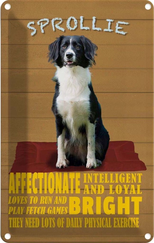vianmo Blechschild 30x20 cm Sprollie Hund intelligent loyal Tier Haustier
