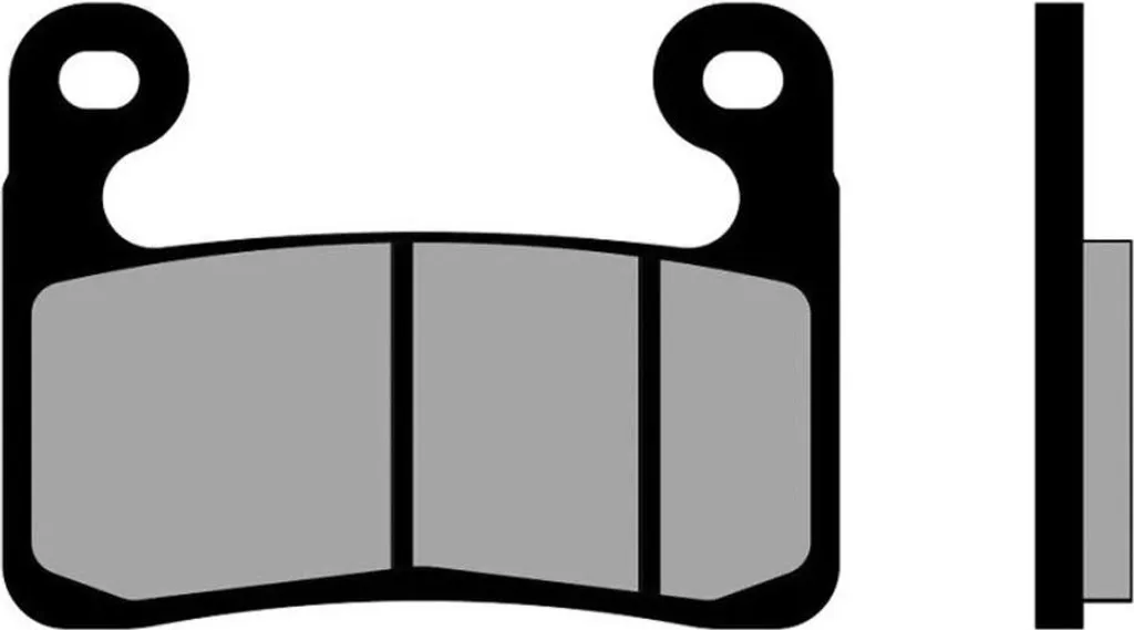 Plaquettes de frein frittées Brenta Moto Pro 7206 Argent pour Moto