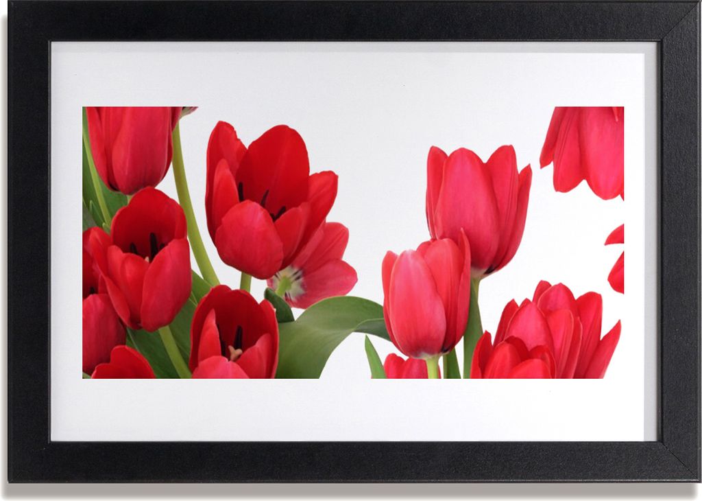 Bild 30x20 MDF-Rahmen Wandkunst Tulpen Blumen Pflanze