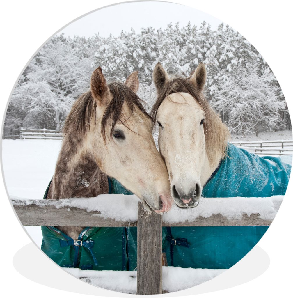 MuchoWow Rundes Wandbild - Runde Bilder Pferde - Decke - Schnee Ø 60 cm Kreis Wanddekoration Kunststoff - Wandkreis - Wandschmuck - Wand Kreis -...