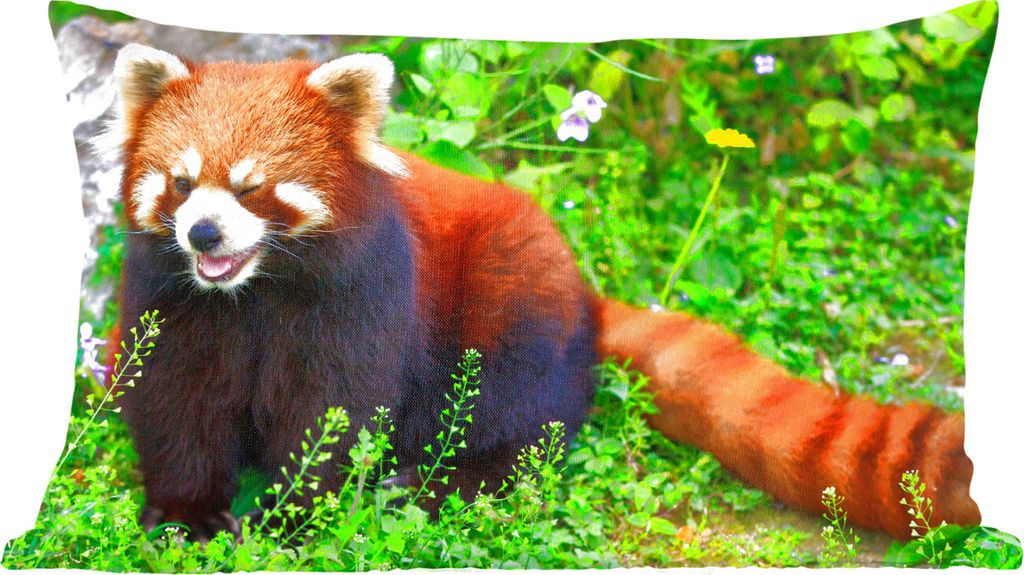 MuchoWow Zierkissen Sofakissen Wohnzimmer Dekokissen 50x30 cm Roter Panda - Grün - Gras - Wohnzimmerdekoration - Polster mit Photo