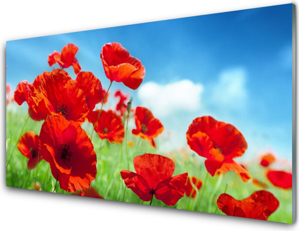 Küchenrückwand aus Glas 100x50cm Spritzschutz Mohnblumen Pflanzen