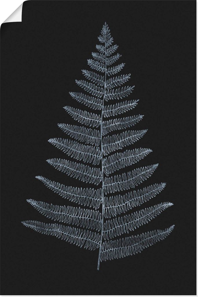 ARTland Poster Botanica Minimalistica Größe: 40x60 cm