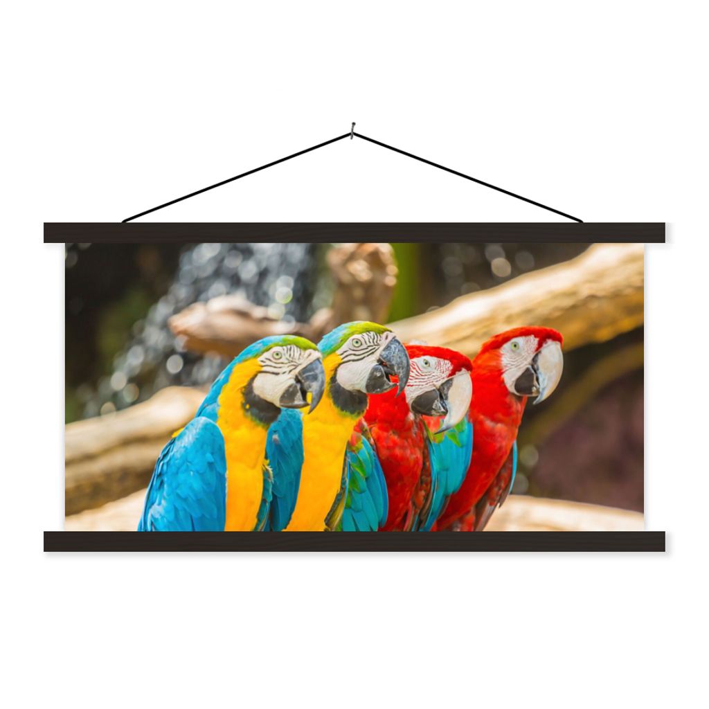 MuchoWow Textilposter Vögel - Papagei - Tropisch - Natur 90x45 cm mit schwarzem Rahmen - Klemmleisten