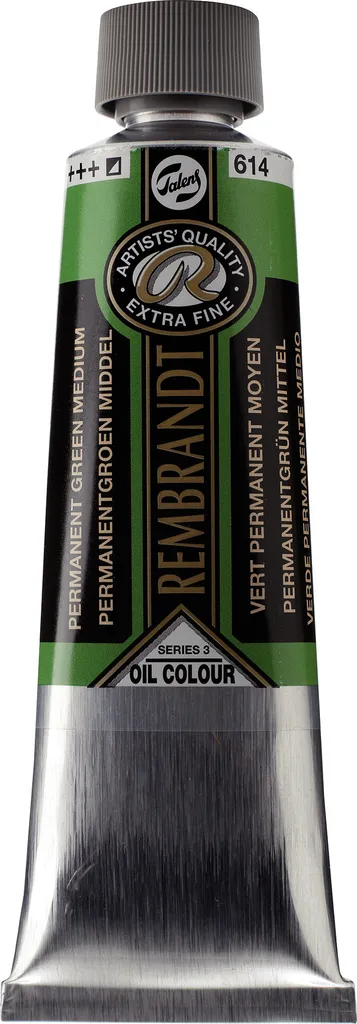 Huile Rembrandt 150 ml vert permanent moyen 614 à haute pigmentation