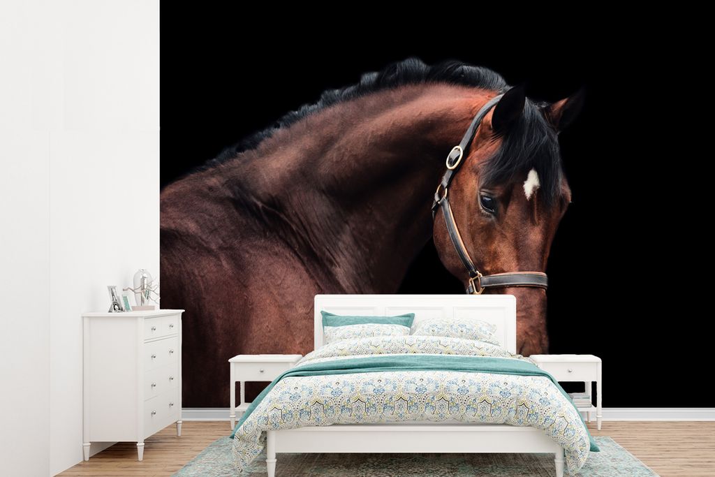 MuchoWow Fototapete für Wohnzimmer oder Schlafzimmer Wandtapete Vinyl Motivtapete Pferd - Halfter - Braun - 385x280 cm - Wallpaper