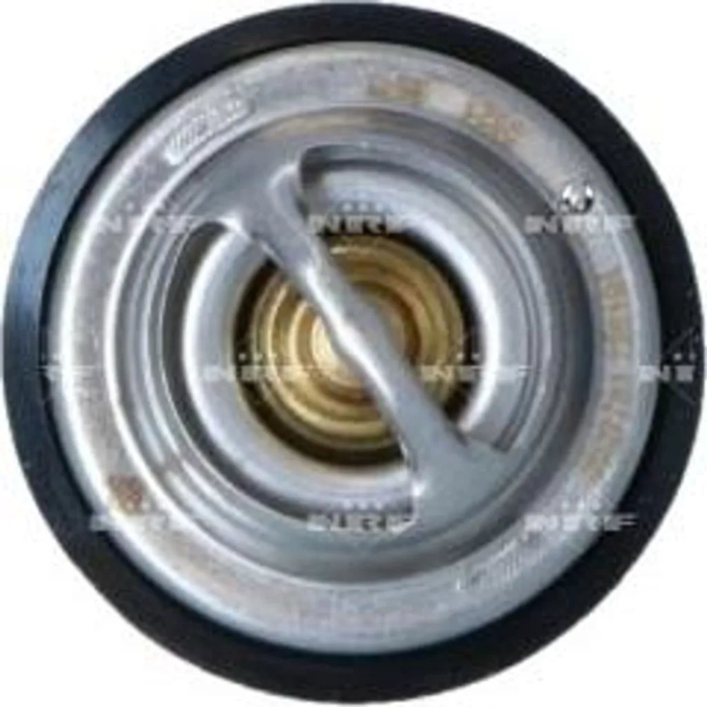 NRF 725194 Termostato, liquido di raffreddamento OE 1102000515 compatibile con SL, Classe S, Classe G, Classe E, Classe C, XK8, XK8, XJ, S-Type, Rexton, Musso, Korando