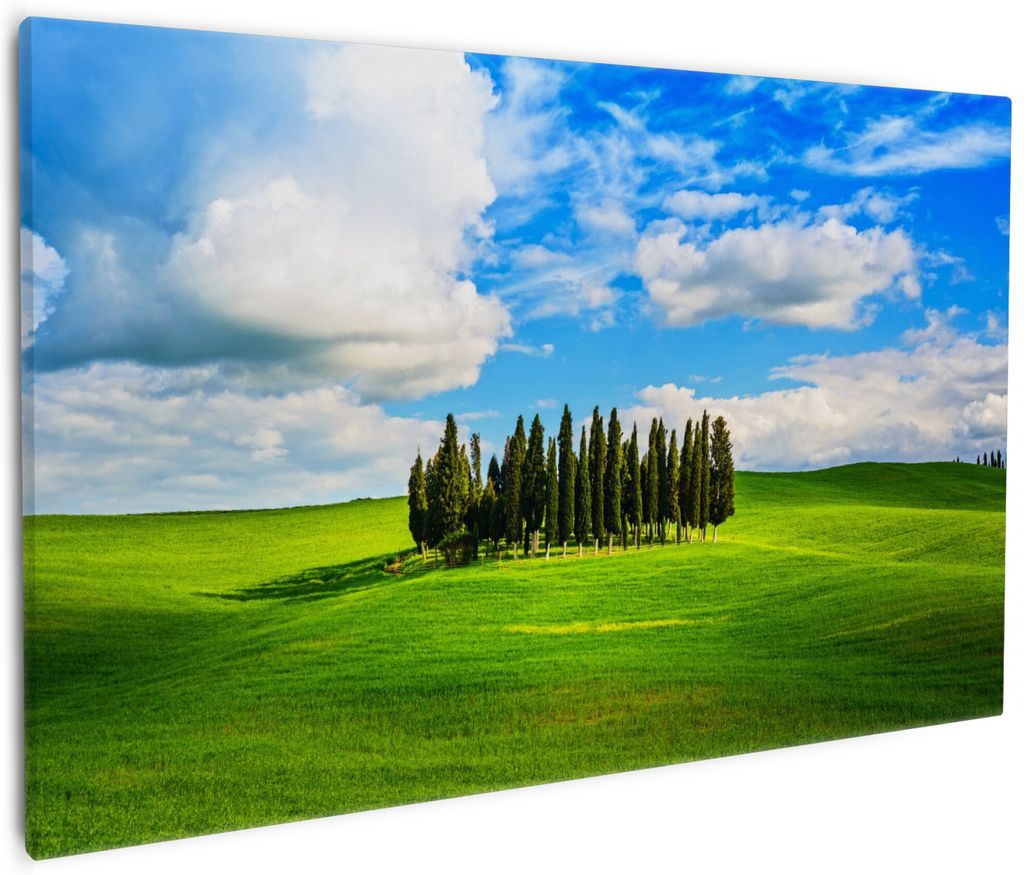 Wallario Premium Leinwandbild Kleiner Wald inmitten einer Produktbild 