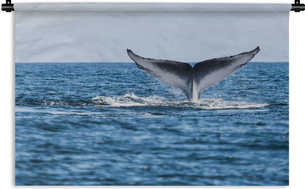 MuchoWow Wandteppich Wandbehang Schwanz eines Wals über einem klaren Himmel 60x40 cm Tapisserie Dekoration Wandtuch - Wanddekorationen