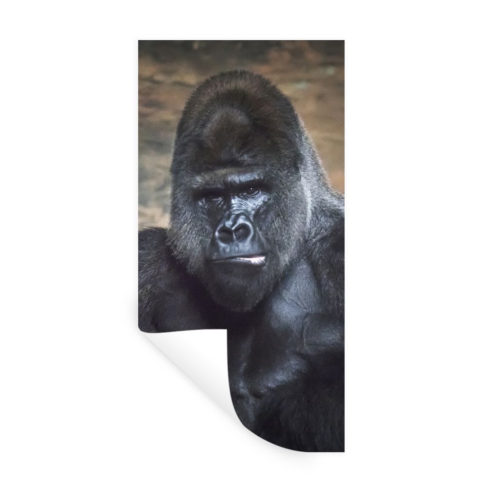 MuchoWow Wandtattoo Wandsticker Wandaufkleber Porträtbild eines schwarzen Gorillas 40x80 cm Selbstklebend und Repositionierbar - Repositionierba...