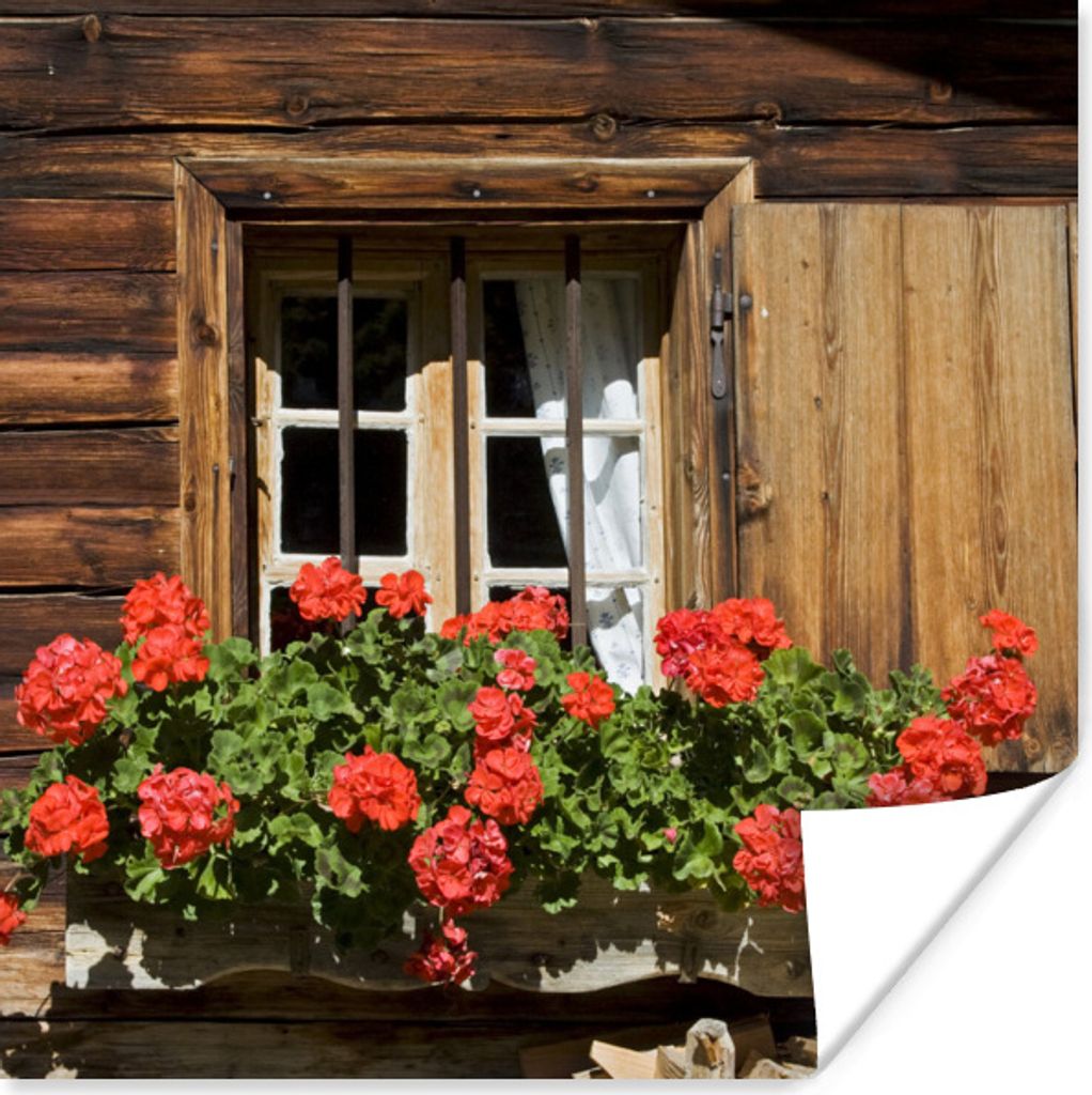 MuchoWow Poster Fenster mit blühenden Geranien 30x30 cm - Wandposter - Printing