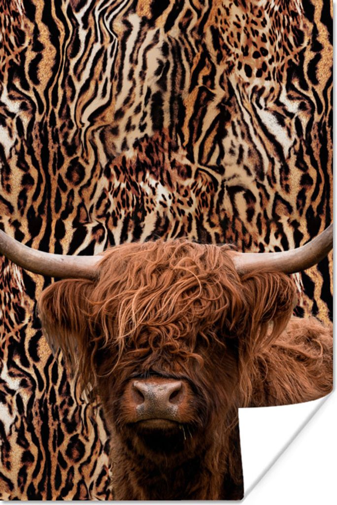 MuchoWow Poster Panther Druck - Schottischer Highlander - Tiere 40x60 cm - Plakate für die Wand - Poster Babyzimmer
