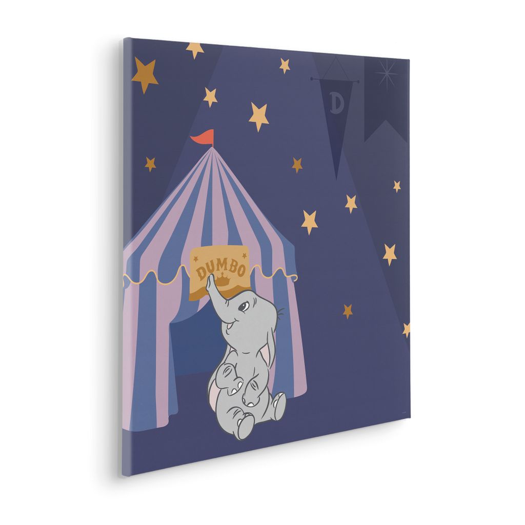 Keilrahmenbild - Starry Night with Dumbo - Größe 60 x 60 cm