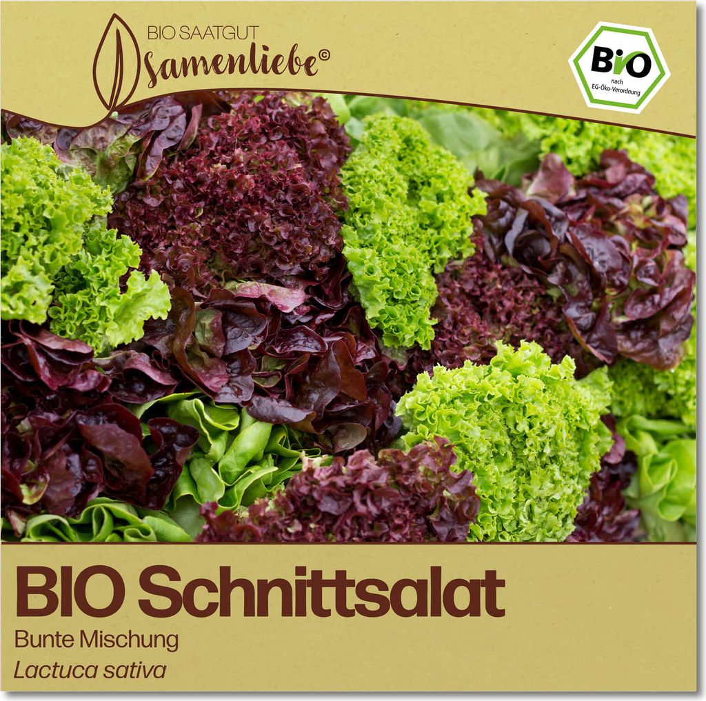 Samenliebe Schnittsalat Samen Bunte Mischung Kopfsalat großer Salat bunt 500 Samen samenfestes Gemüse Saatgut für Gewächshaus Freiland und Balk...