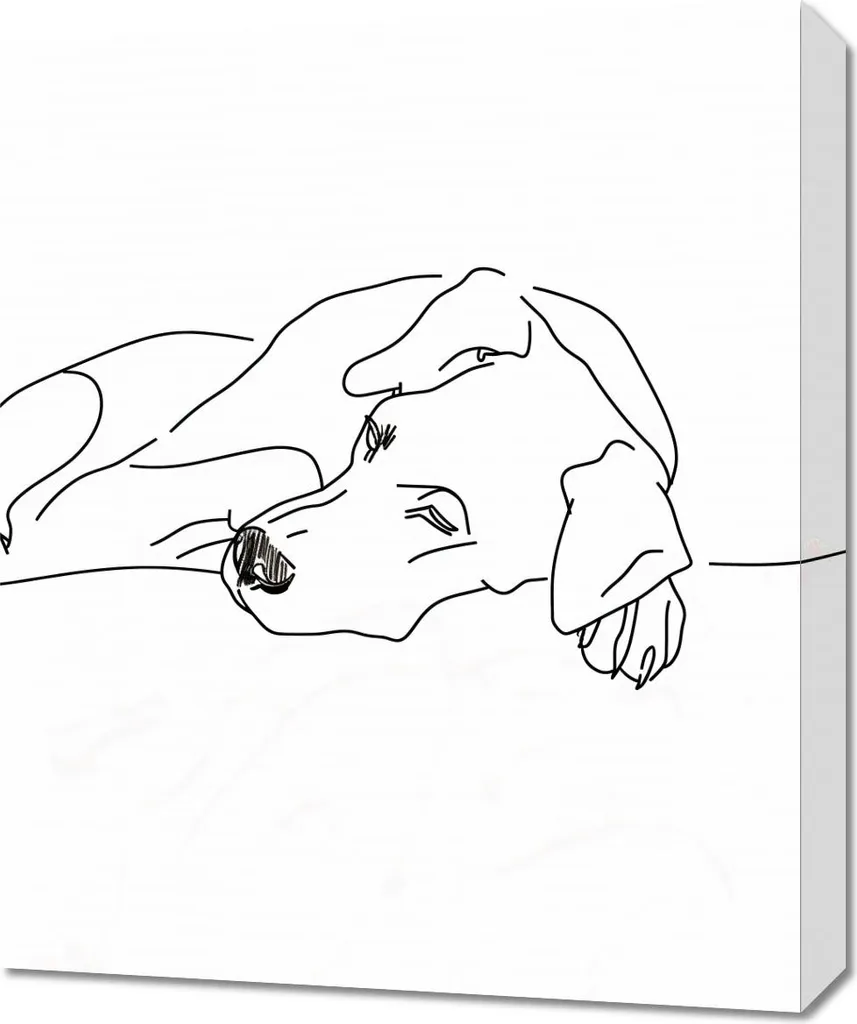 Quadro Moderno 50x60 cm Cane che Dorme - Arredamento Interni