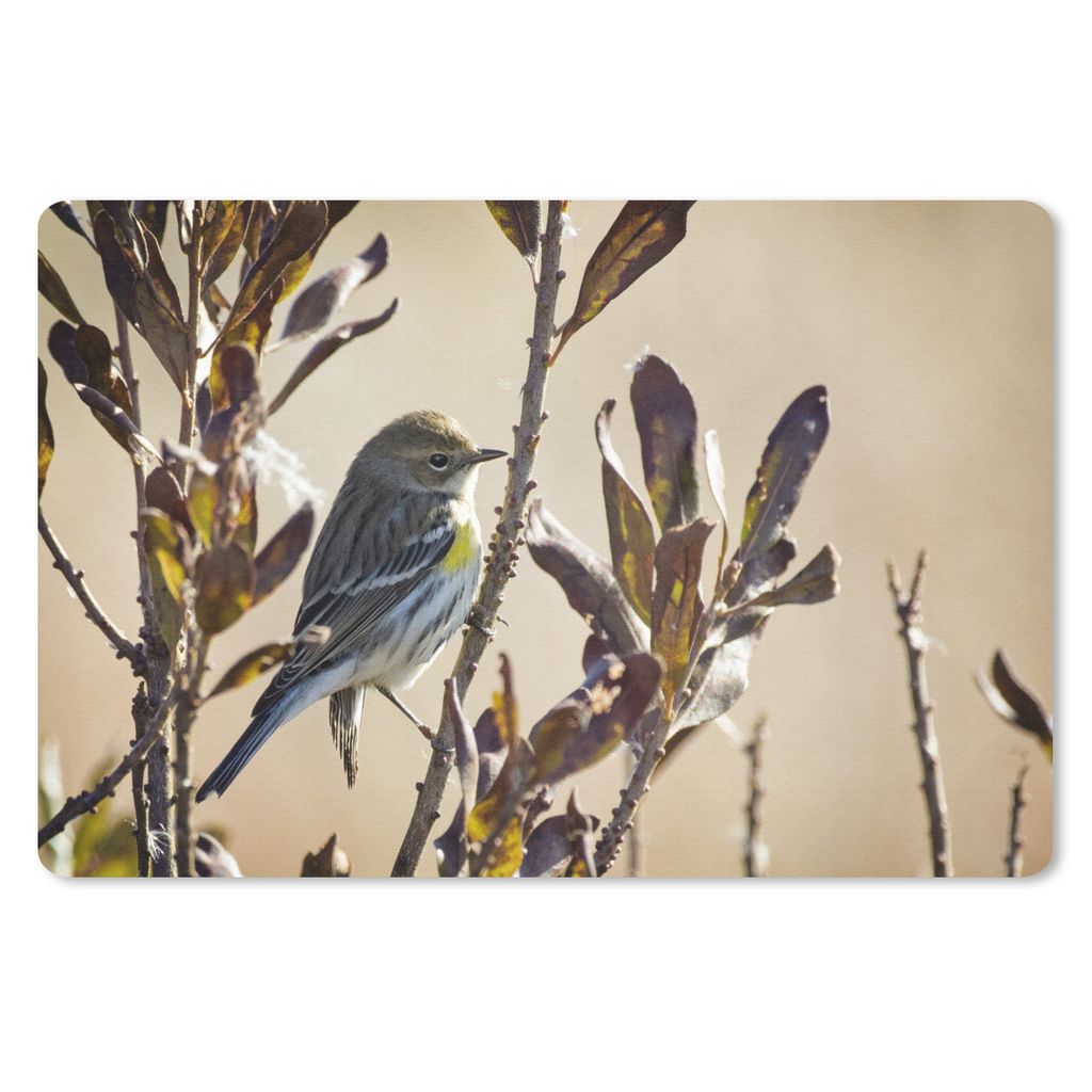 MuchoWow Mauspad Mousepad Vogel zwischen einem Zweig mit Blättern 27x18 cm - Mousepads - Maus Mat - Pad - Mausunterlage - Büroartikel - Desk Ma...