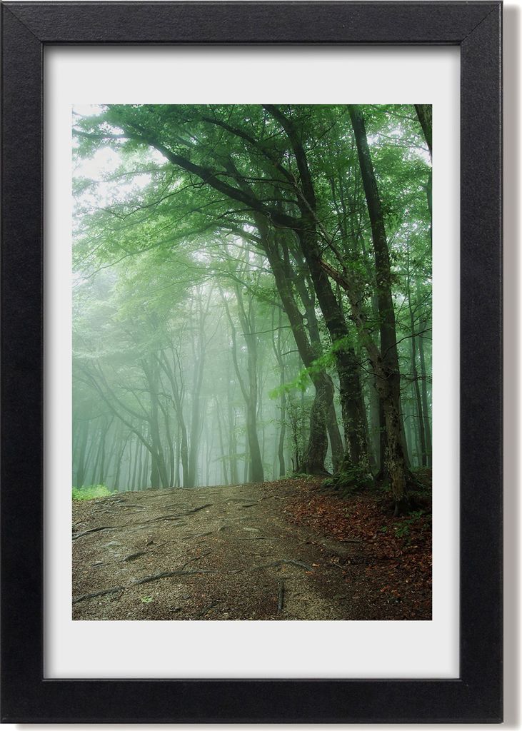 Bild 20x30 MDF-Rahmen, Wandkunst Nebel im Wald