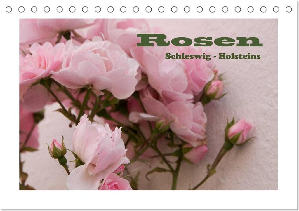 Rosen Schleswig-Holsteins (Tischkalender 2026 DIN A5 quer), CALVENDO Monatskalender