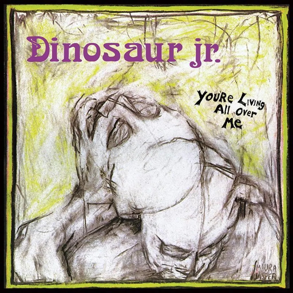 Dinosaur Jr. You're Living All Over Me Son Lo-Fi Guitare Fuzz Culte