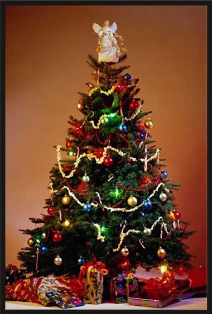 Cadre Photo Maxi avec Affiche Sapin de Noël : Fini les Cadres Cassés