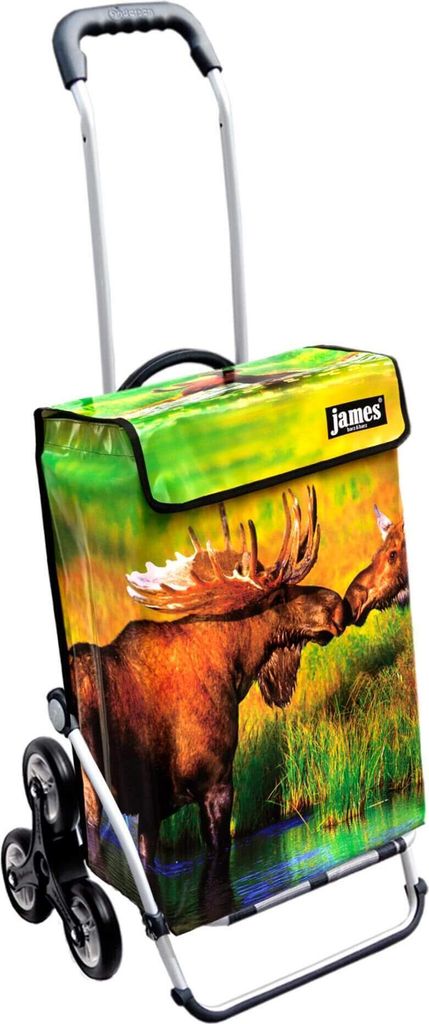 James Einkaufstrolley - ELK - stabiler Einkaufswagen mit individuellem Design - mehrfarbig: braun | grün in Ausführung: Royal-Treppensteiger