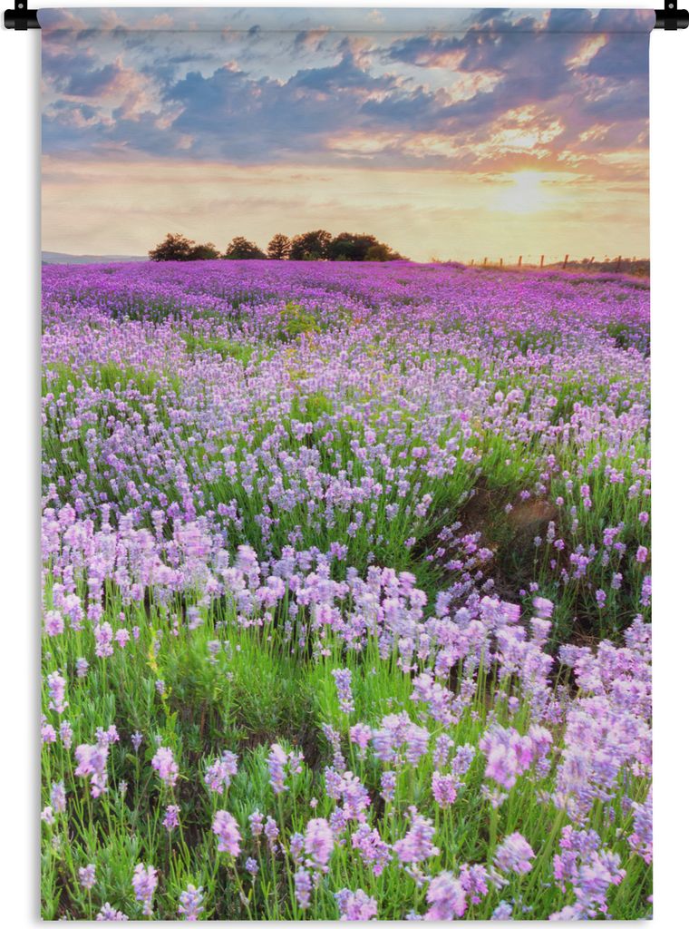 MuchoWow Wandteppich Wandbehang Blumen - Lavendel - Lila - Himmel - Sonnenuntergang - Wiese - Natur 120x180 cm Tapisserie Dekoration Wandtuch - S...