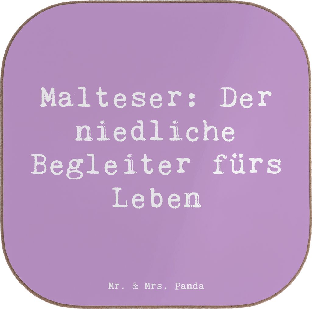 Mr. & Mrs. Panda Untersetzer für Gläser Spruch Malteser Begleiter - Lavendeltraum - Geschenk, Hunderassen Beschreibung, liebevoll, Hunderasse, Kl...