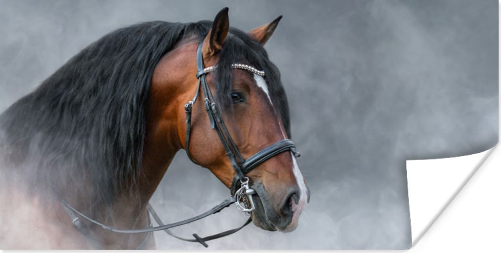 MuchoWow Poster Pferd - Smoke - Halfter 150x75 cm - ohne Rahmen