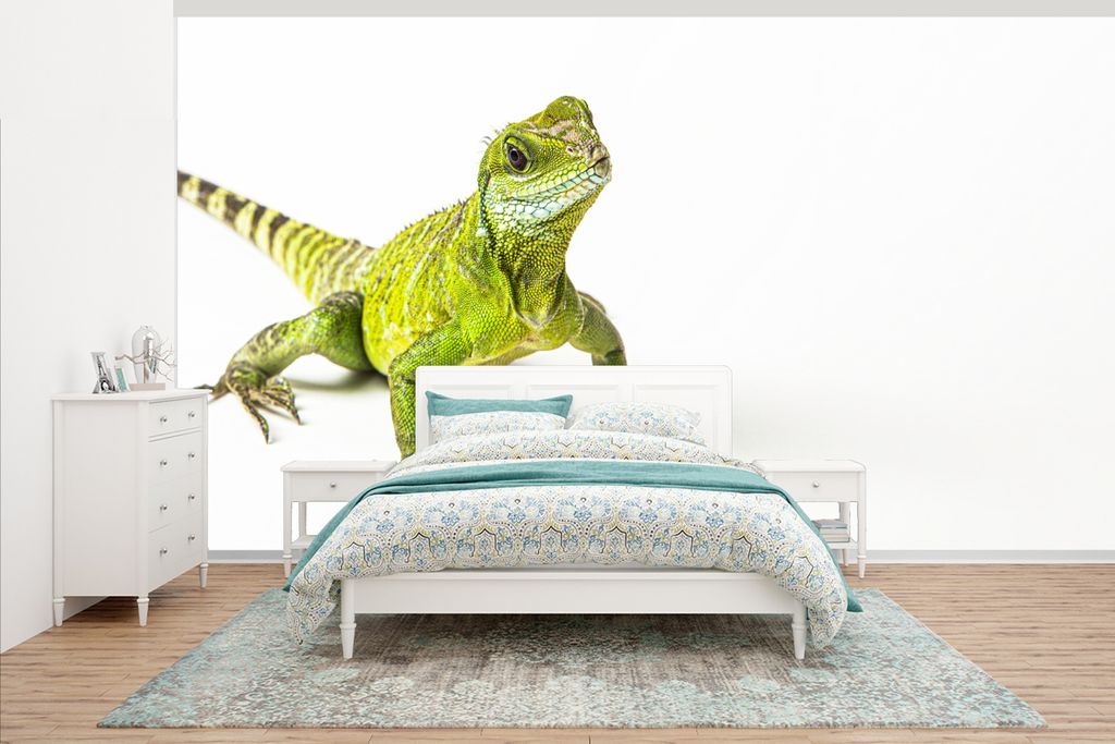 MuchoWow Fototapete für Wohnzimmer oder Schlafzimmer Wandtapete Vinyl Motivtapete Eidechse - Reptil - Grün - 430x240 cm - Gemustert