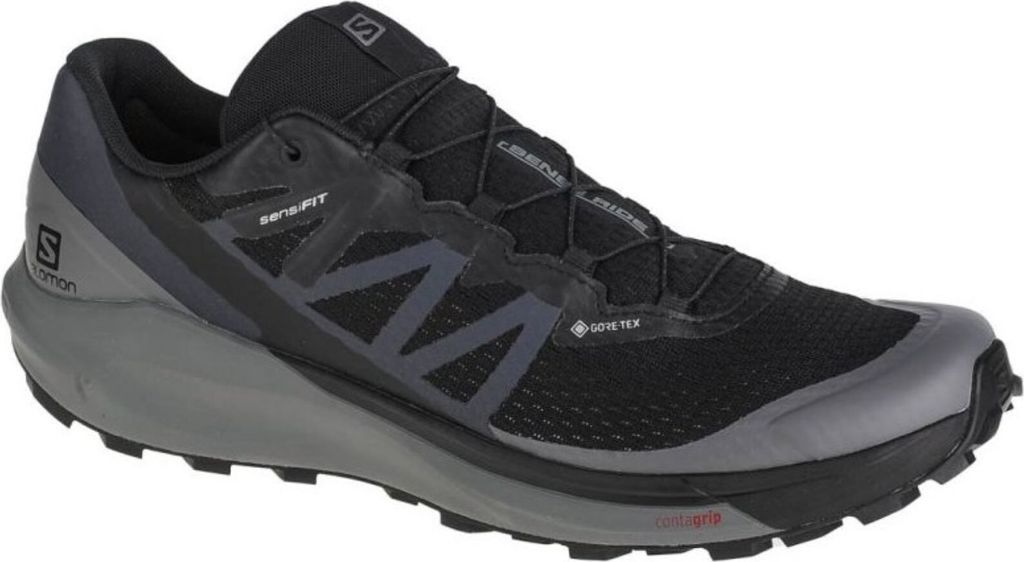 Salomon Schuhe Sense Ride 4 Gtx, 413071