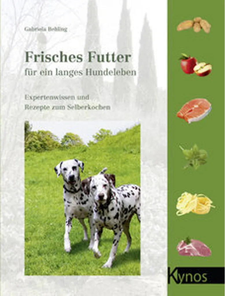 Repas frais pour chien pour vitalité et longévité formule bien-être