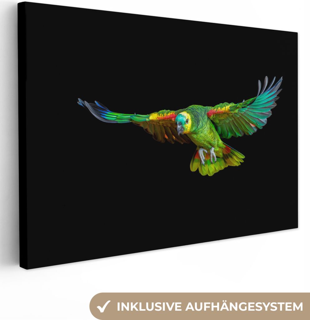 OneMillionCanvasses - Leinwandbilder - 150x100 cm, Papagei - Vogel - Federn, Wandbilder Kunstdruck Wanddekoration