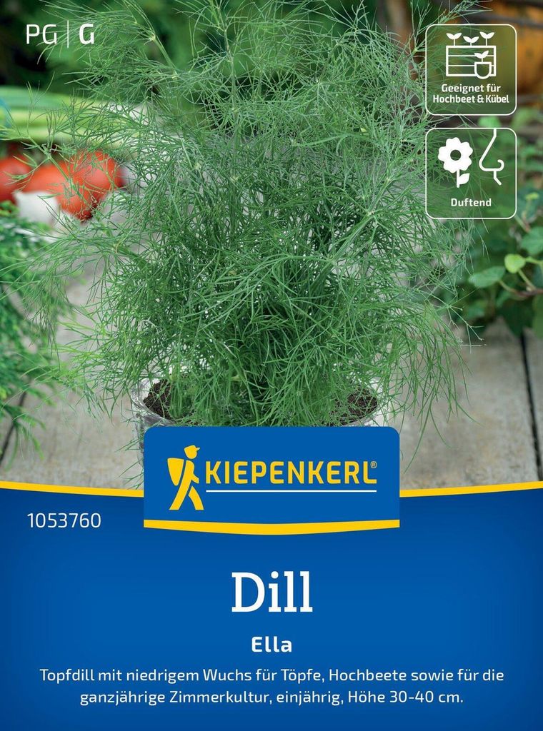 Kiepenkerl Dillsamen Ella Anethum graveolens 500 Pflanzen