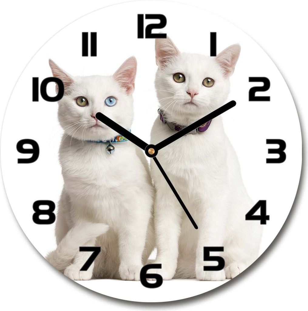 Wanduhr aus Glas 30fi Glasbild Glasuhr Gehärtetes Glas - schwarze-zeiger - White cats