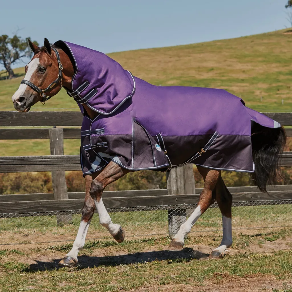 Couverture de protection pluie poney Weatherbeeta Comfitec Lite Dynamic