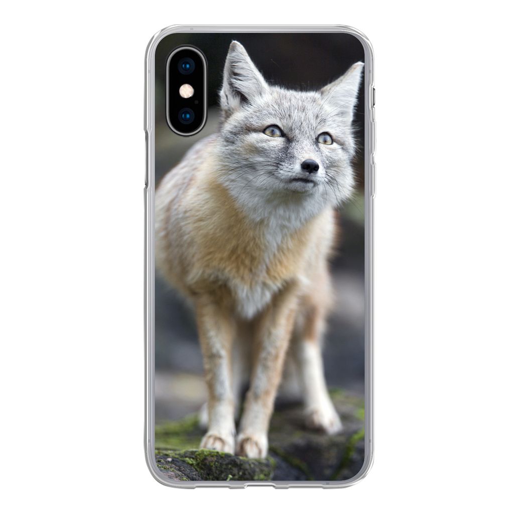MuchoWow Handyhülle Schutzhülle Hülle für iPhone X Fuchs - Makro - Baum Silikon Softcase Handy Hülle - Handyhülle