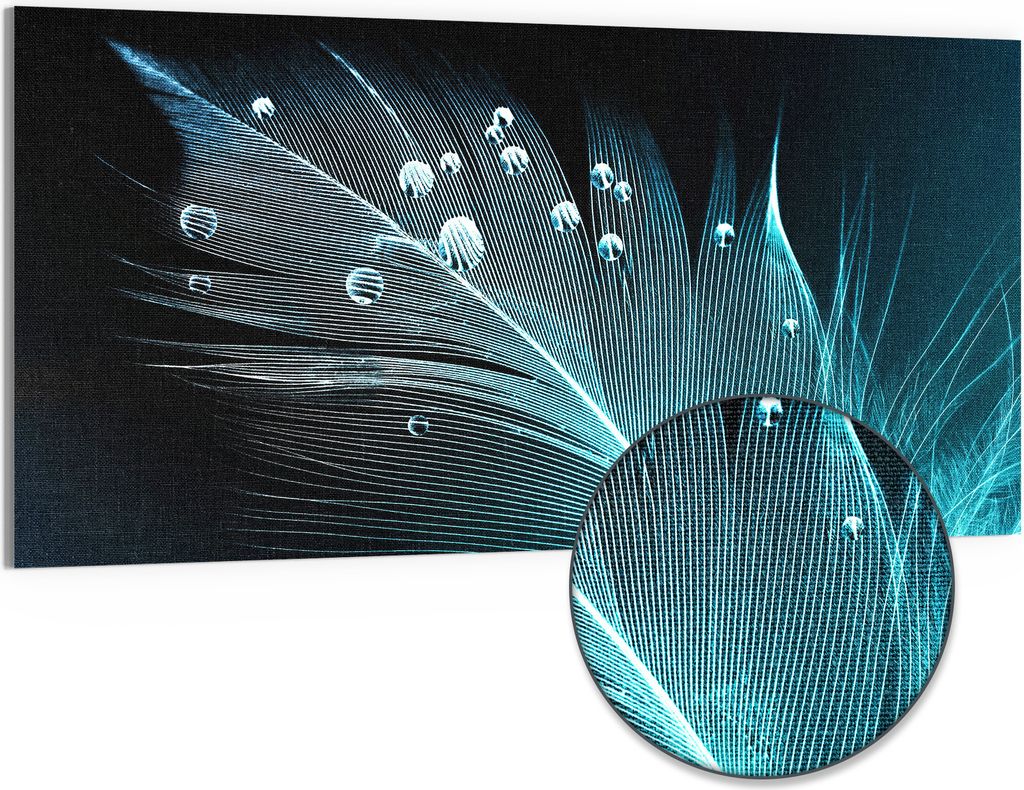 DEQORI Hybrid Leinwand Bild 100x50 cm 'Feder mit Wasserperlen' Wandbild Glas flach modern
