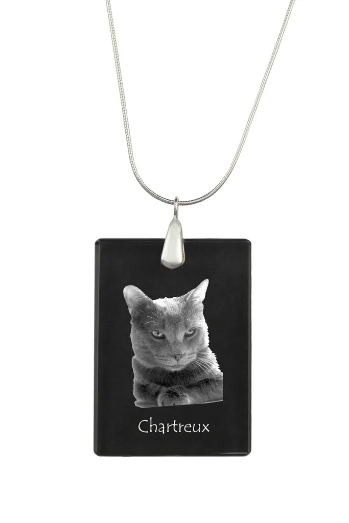 Collier chat Chartreux : Pendentif photo en cristal et argent véritable