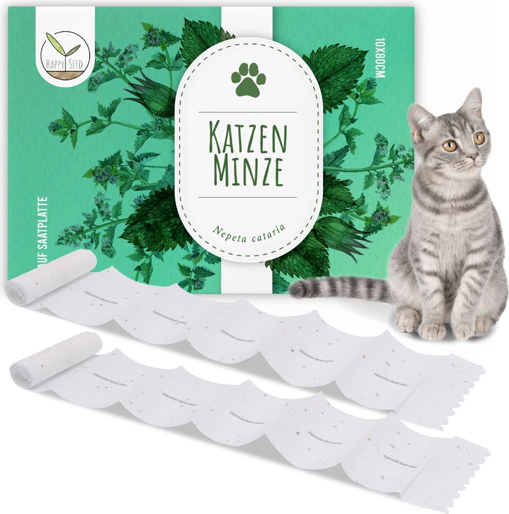 Katzenminze Samen Saatband 80 x 10 cm (Nepeta cataria) - Catnip Saatgut ideal für die Anzucht im Garten, Balkon oder Terrasse