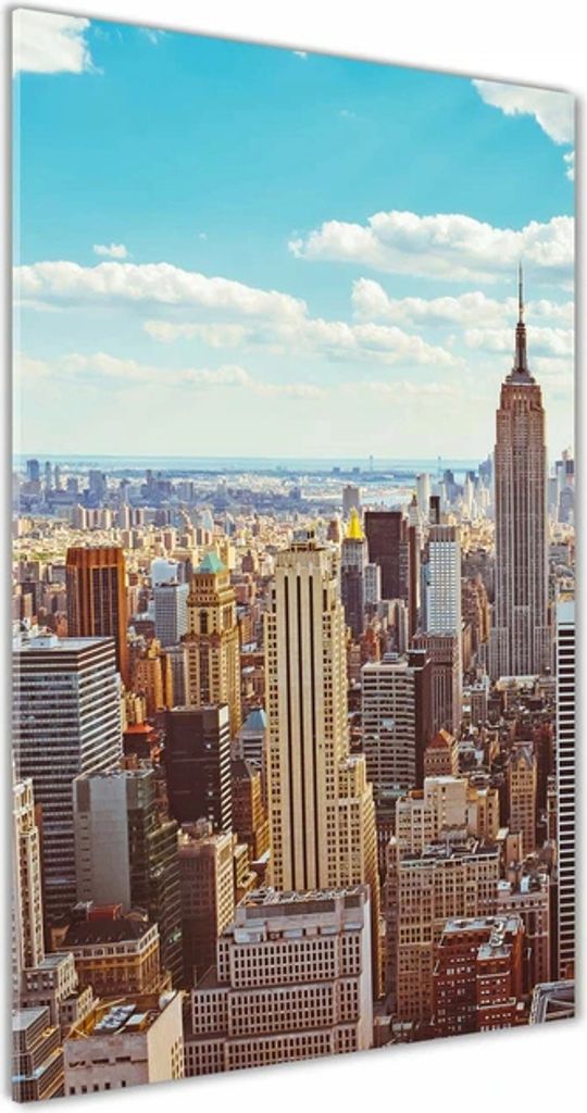 Foto Acrylbild New Yorker Vogelflug 50x100 cm