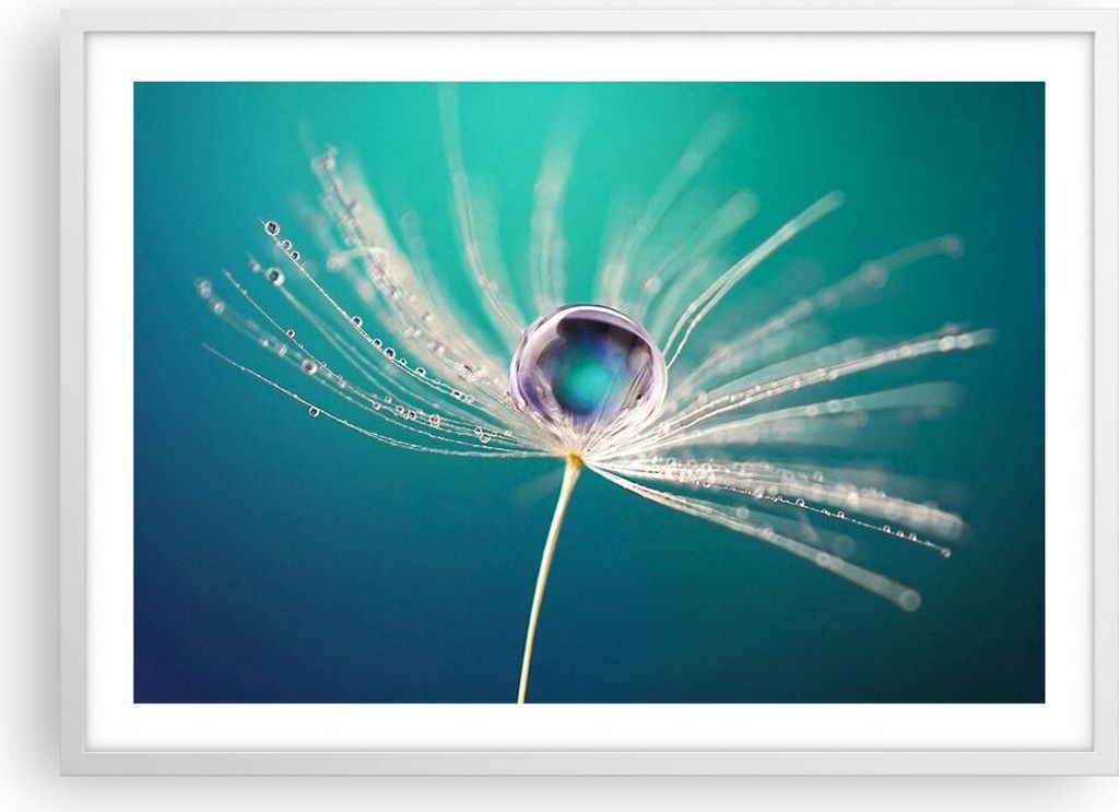 Gerahmtes Poster - Weißer Rahmen - Pflanze Natur - 70x50 cm - Wand Bild - Wanddeko - Wandbilder - Kunstposter - Wandposter - Bilderrahmen - Bilder...