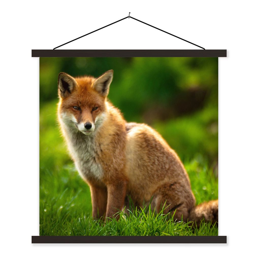 MuchoWow Textilposter Fuchs - Licht - Gras 40x40 cm mit schwarzem Rahmen - Fotos
