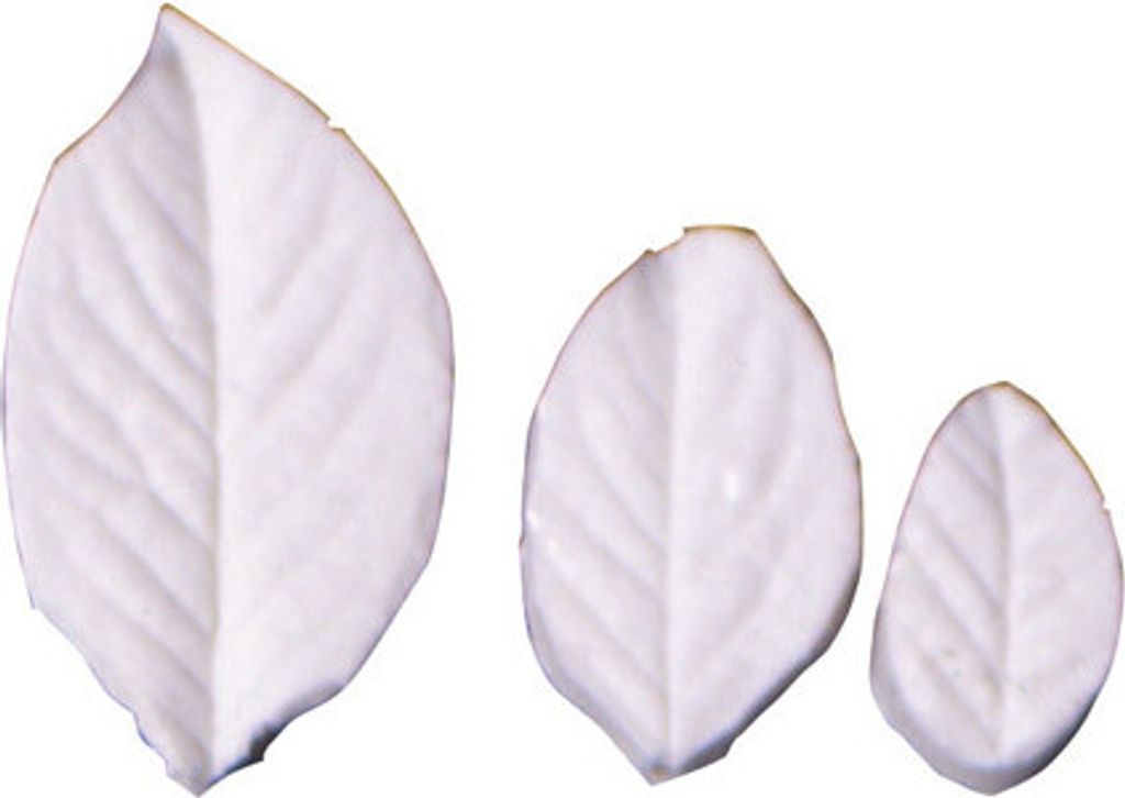 SK Great Impressions Leaf Veiner Rose- Briar set/3