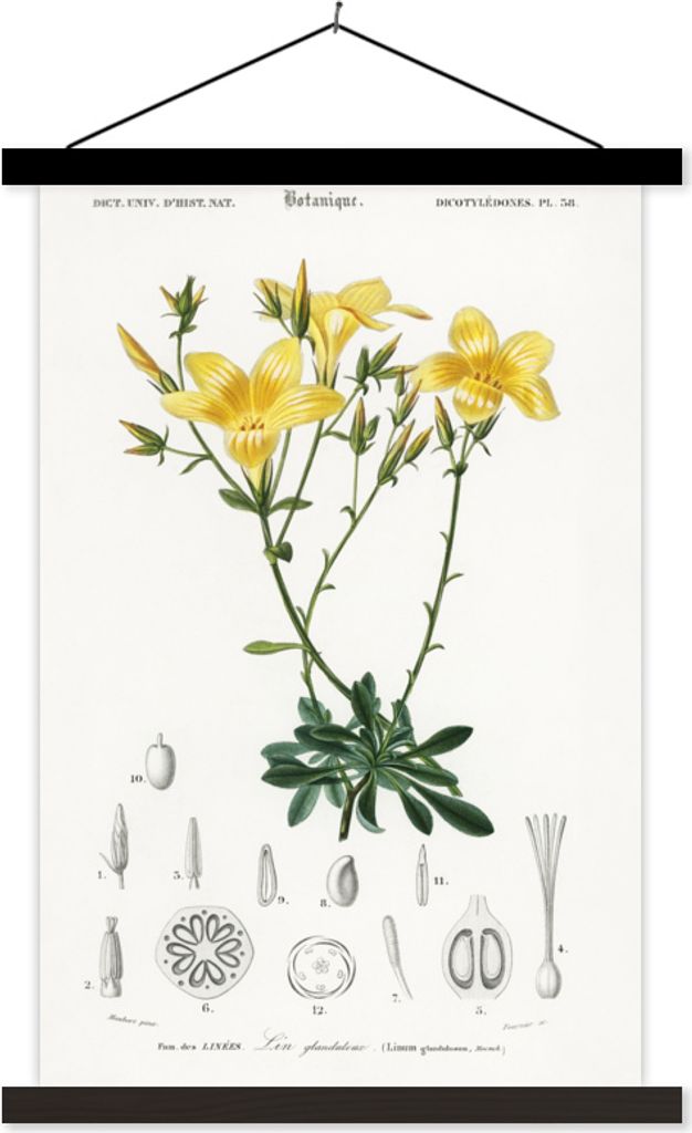 MuchoWow Textilposter Pflanze - Vintage - Blatt 60x90 cm mit schwarzem Rahmen - Poster Wohnzimmer