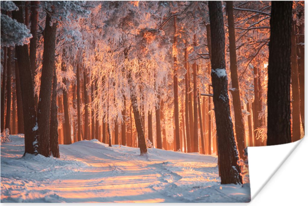 MuchoWow Poster Winter - Wald - Baum 60x40 cm - Schlafzimmerdekoration