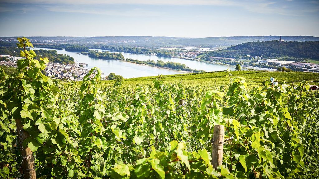 Jochen Schweizer Schlenderweinprobe Eltville; Erlebnis verschenken oder selbst erleben; Gutschein gültig für 1 Person Gruppengröße: 1-100 Pers...