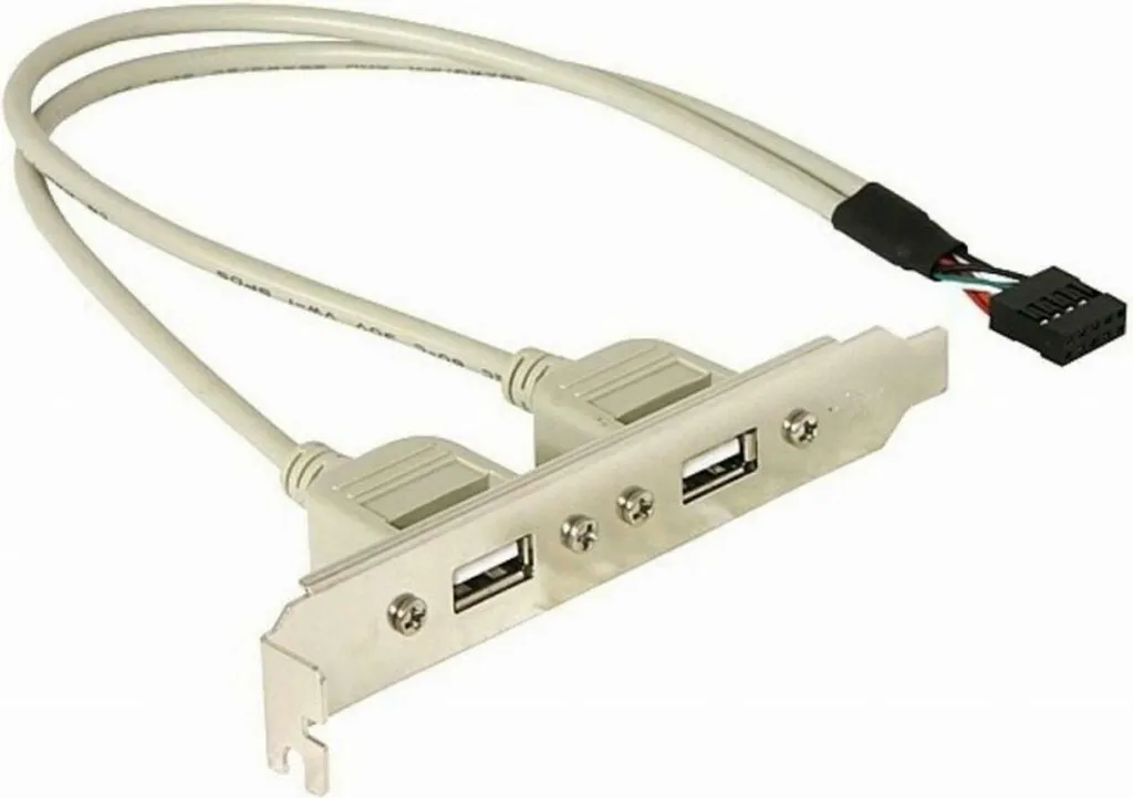 Delock Slotbracket 2x USB A: Espansione Posteriore per PC Desktop - 1