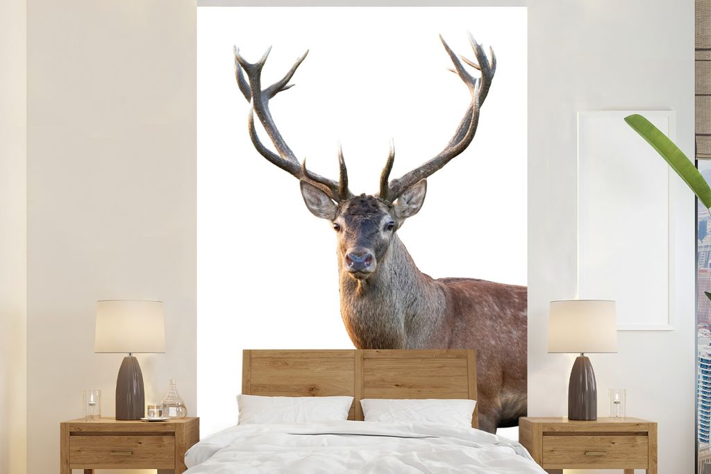 MuchoWow Fototapete für Wohnzimmer oder Schlafzimmer Wandtapete Vinyl Motivtapete Hirschgeweih weiß - 180x280 cm - Wallpaper