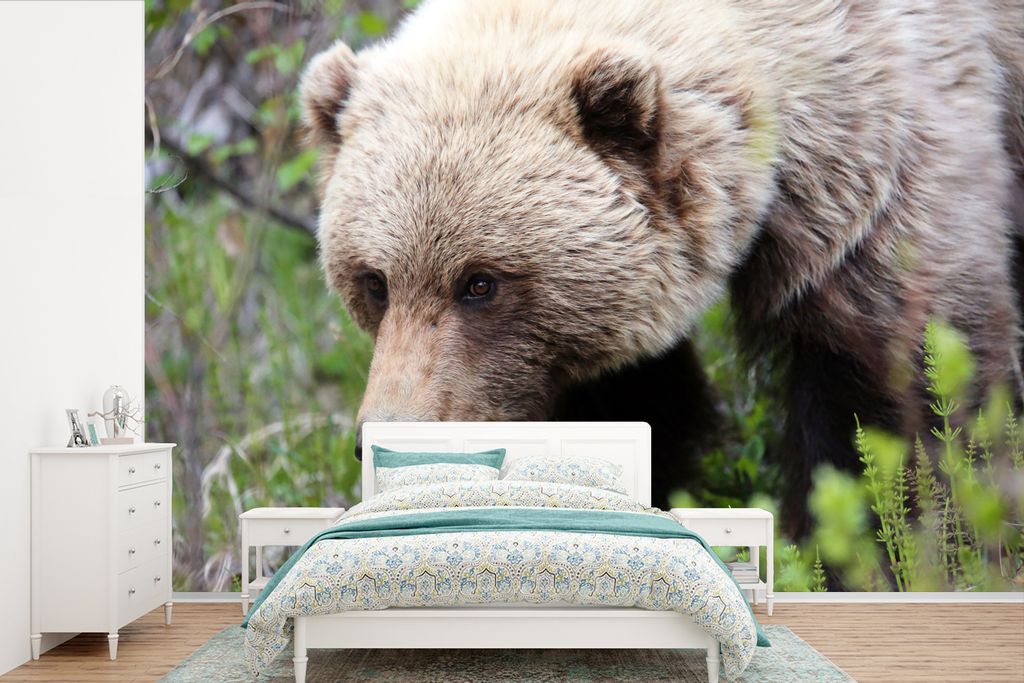 MuchoWow Fototapete für Wohnzimmer oder Schlafzimmer Wandtapete Vinyl Motivtapete Bär - Grizzly - Wald - 390x260 cm - Papiertapete